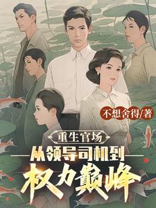 重生官场登顶小说完整版